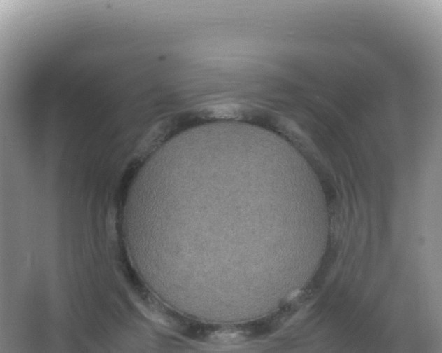 X0000066940213200604142032