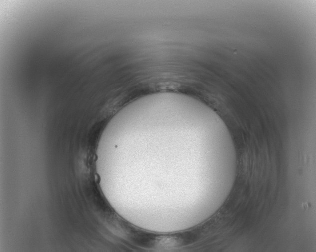 X0000066940218200604142032