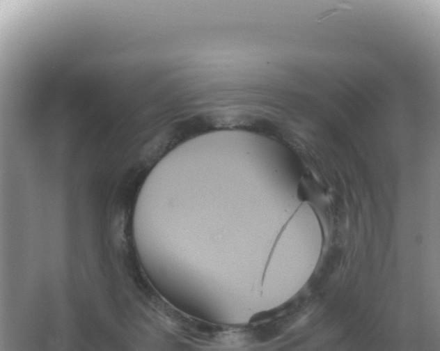 X0000066940219200604142032