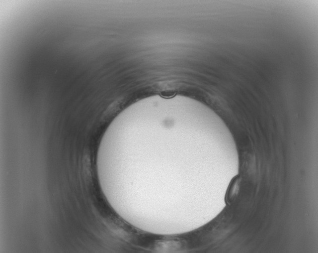 X0000066940220200604142032