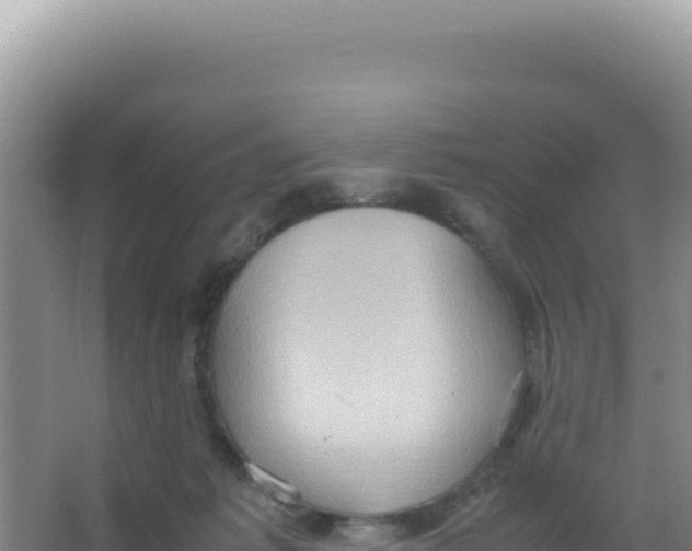 X0000066940221200604142032