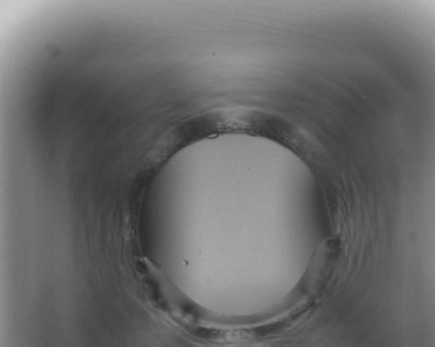 X0000066940223200604142032