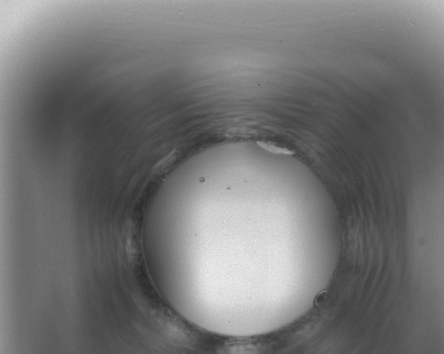 X0000066940228200604142032