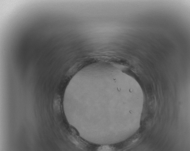 X0000066940231200604142032