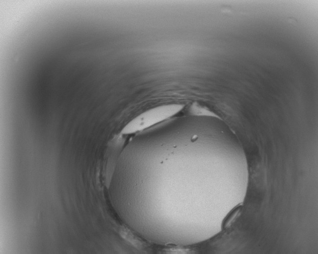 X0000066940233200604142032