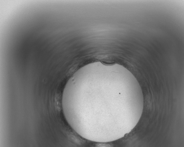 X0000066940234200604142032