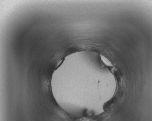 X0000066940235200604142032