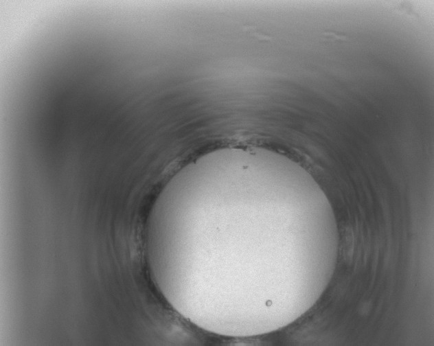 X0000066940236200604142032