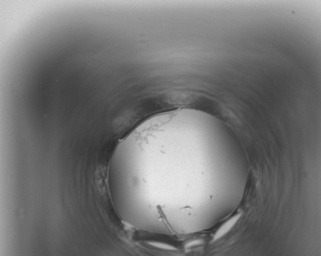 X0000066940237200604142031