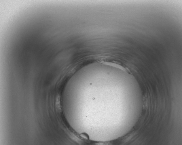 X0000066940238200604142031