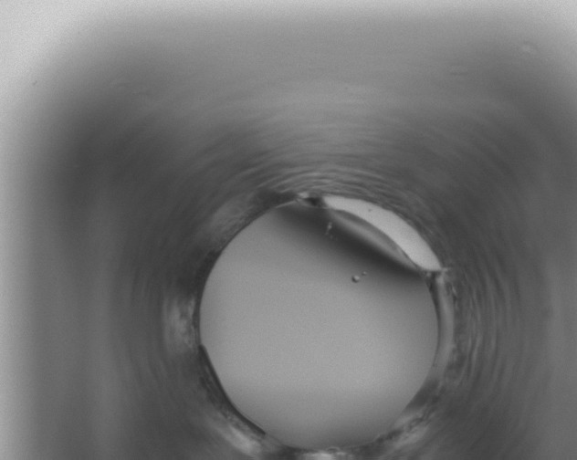 X0000066940239200604142031