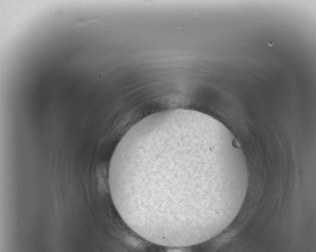 X0000066940240200604142031