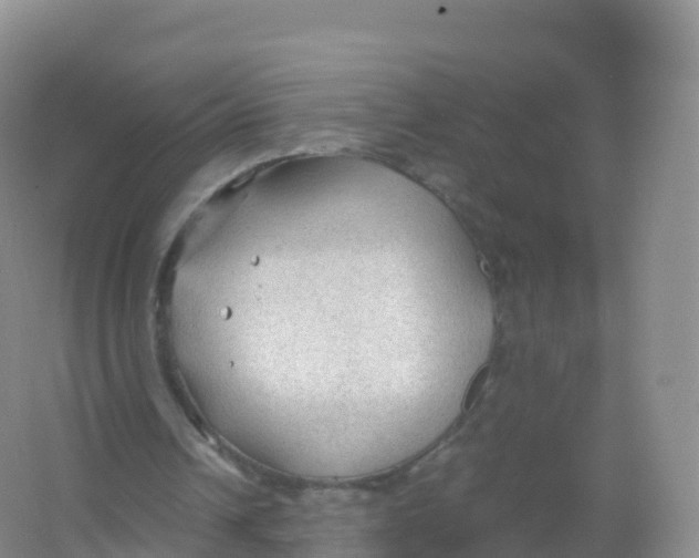 X0000066940242200604142031