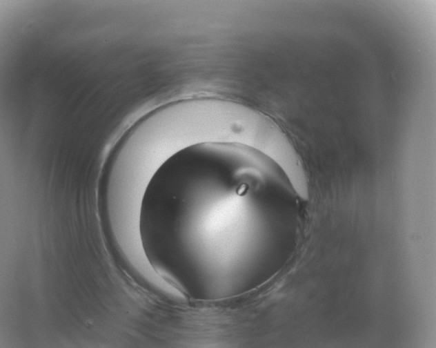 X0000066940244200604142031