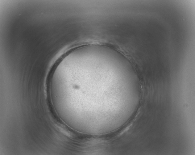 X0000066940246200604142031