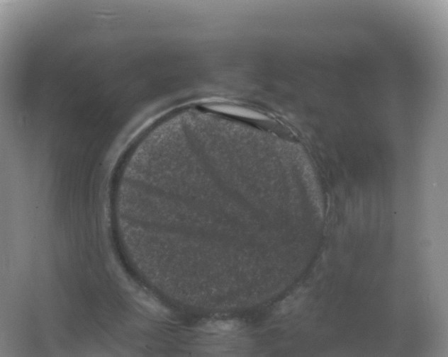 X0000066940247200604142031