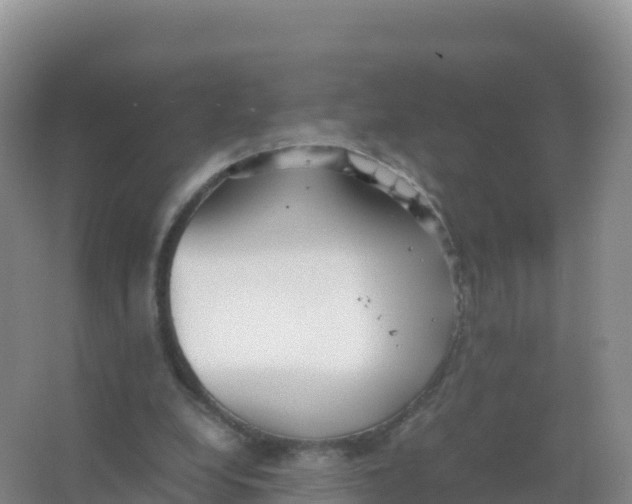 X0000066940248200604142031