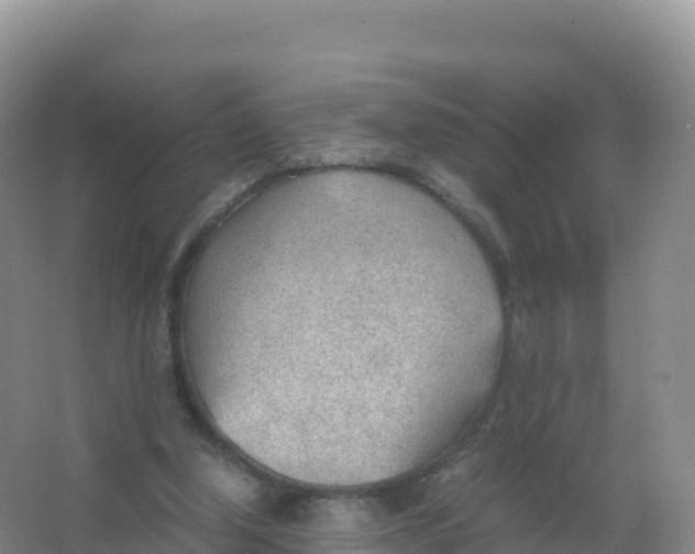 X0000066940250200604142031