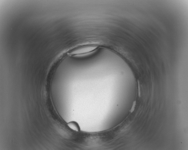 X0000066940252200604142031