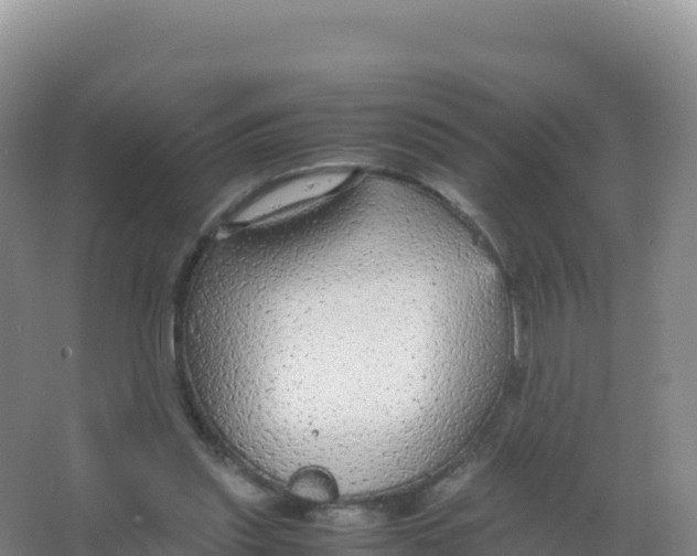 X0000066940253200604142031