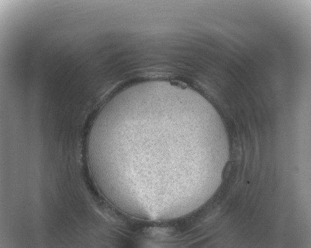 X0000066940255200604142031