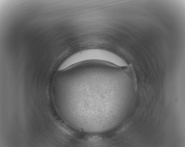 X0000066940258200604142031