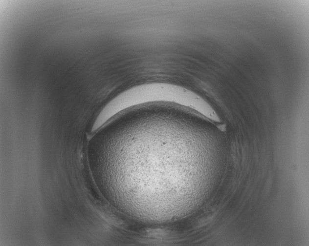 X0000066940259200604142031