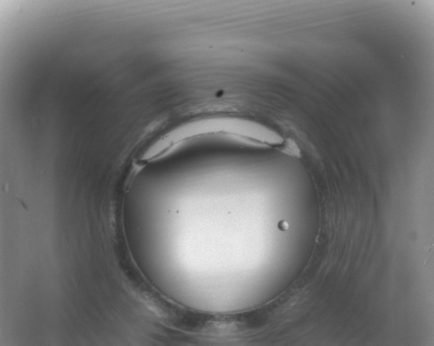 X0000066940260200604142031