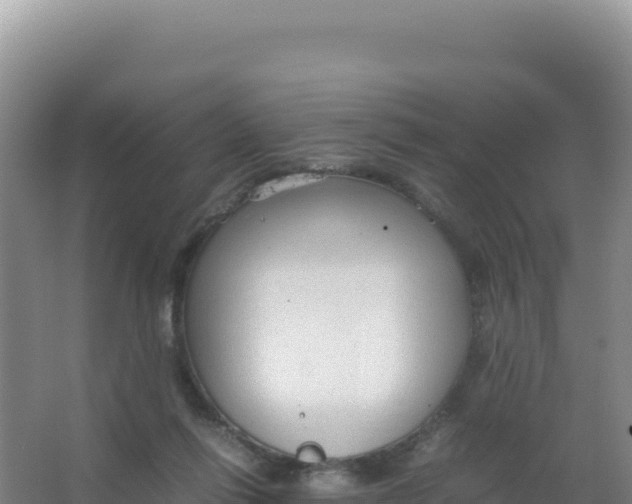 X0000066940262200604142031