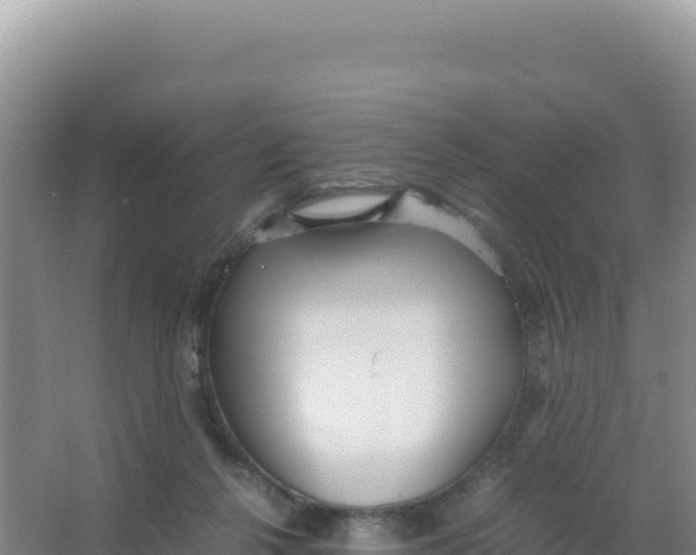 X0000066940264200604142031