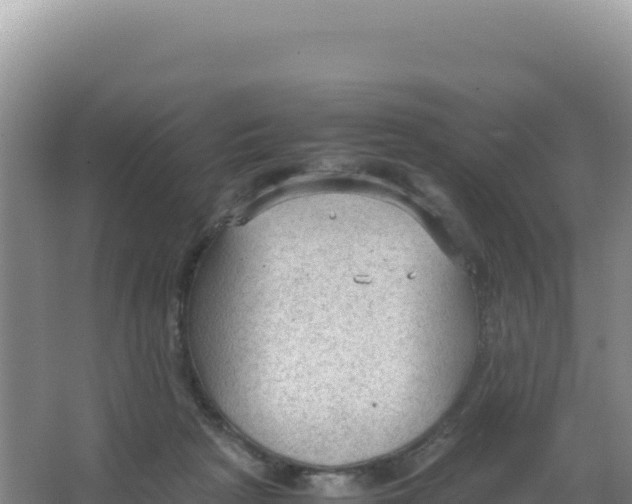 X0000066940265200604142031