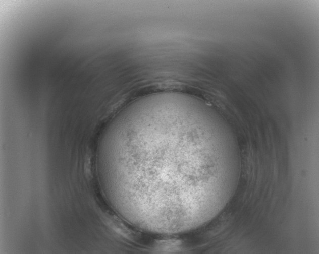 X0000066940266200604142031