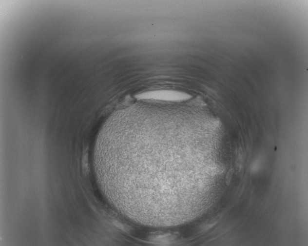 X0000066940267200604142031