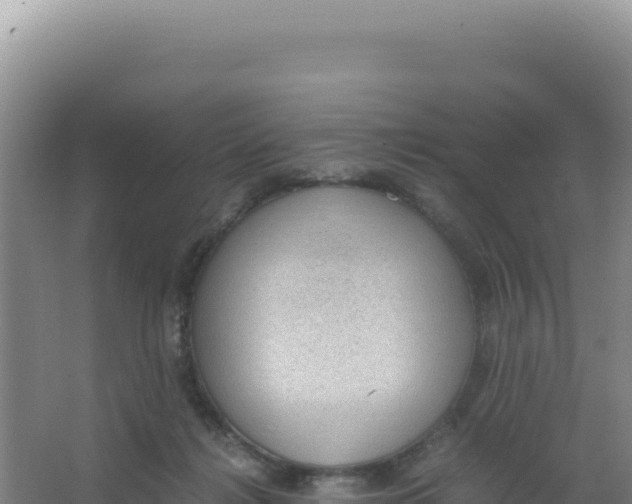 X0000066940268200604142031