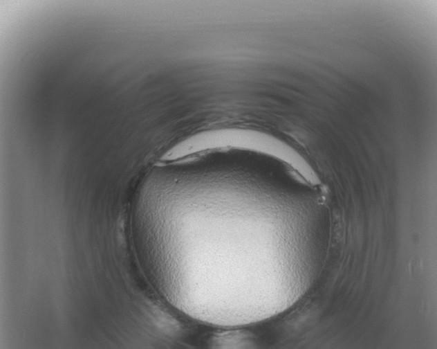 X0000066940269200604142031