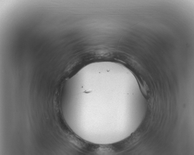 X0000066940270200604142031