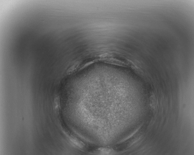 X0000066940272200604142031