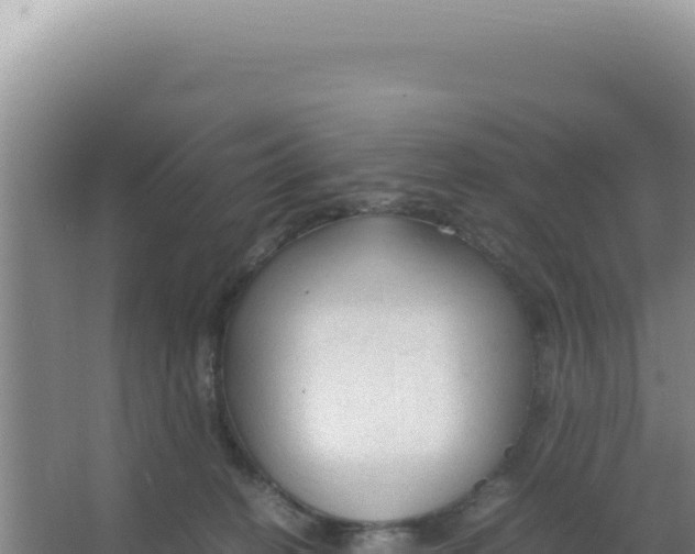 X0000066940274200604142031