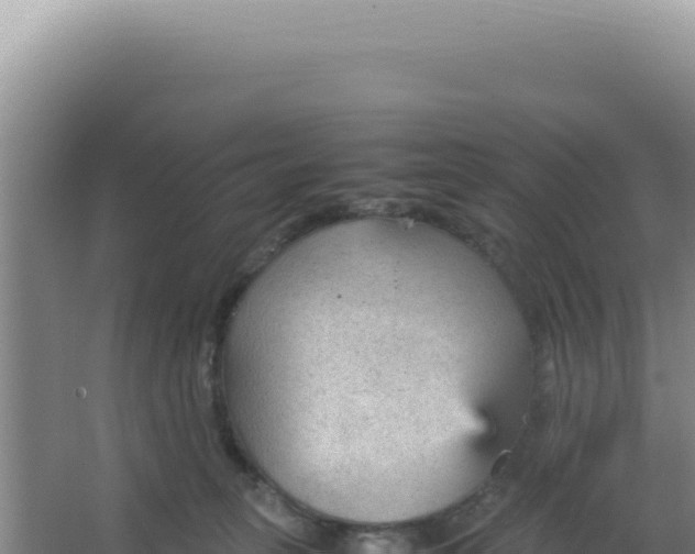 X0000066940275200604142031