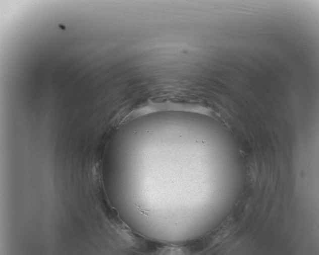 X0000066940276200604142031