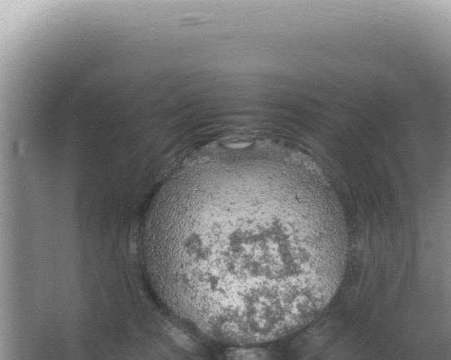 X0000066940277200604142031