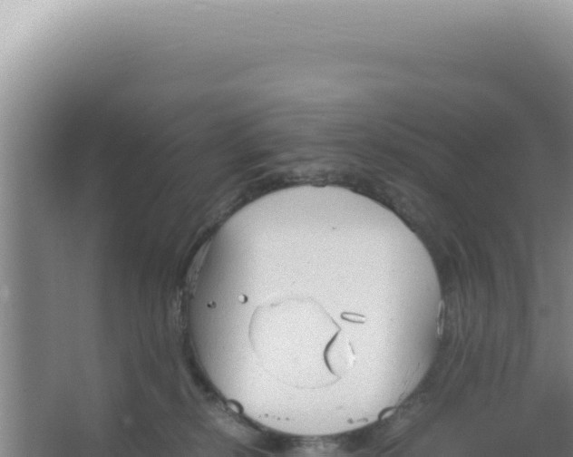 X0000066940278200604142031