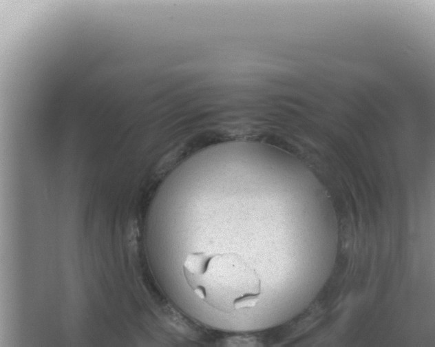 X0000066940279200604142031