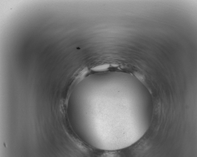 X0000066940280200604142031