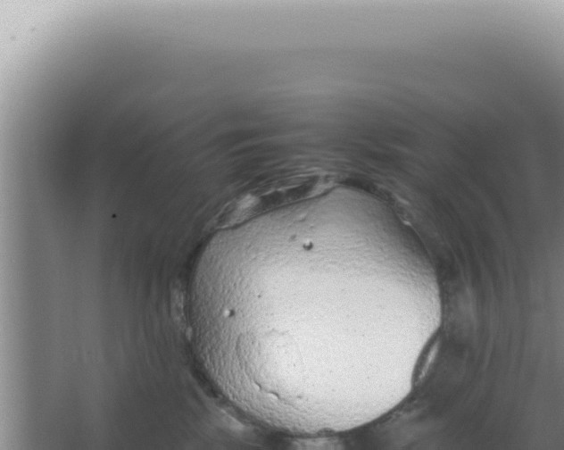 X0000066940281200604142031