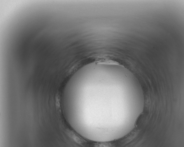 X0000066940282200604142031