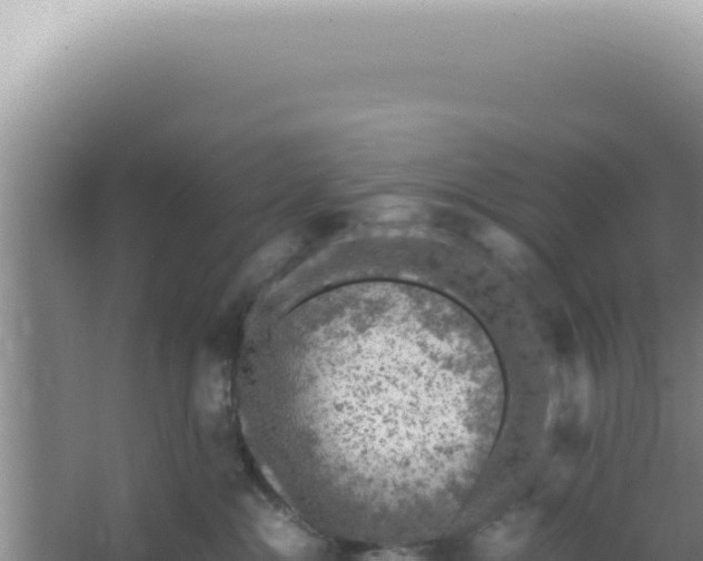 X0000066940284200604142031