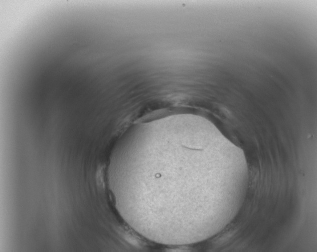 X0000066940286200604142031