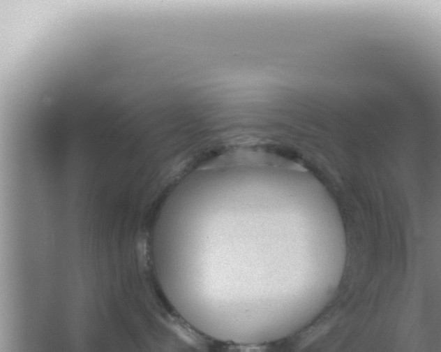 X0000066940288200604142031