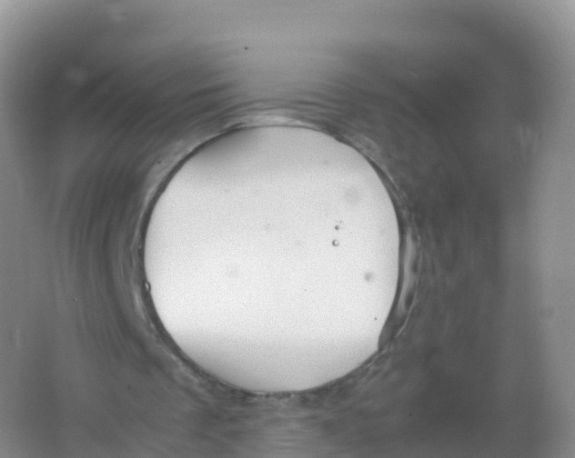 X0000066940289200604142031